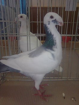 57