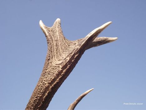 DSCF3034