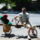 Falo_151349_87296_t
