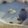 Gorogorszag_413_151023_48114_t