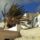 Gorogorszag_427_151037_94934_t