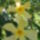 Leander_6_1501512_4478_t