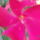 Leander_7_1501791_6649_t
