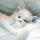 Legyen_szep_napod_1_1510191_9853_t