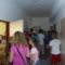 Oviban 5