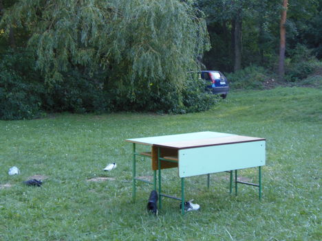 P8072564