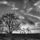 Tajkep_drotszamarral_151353_59705_t