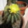 2012aug30-007_1521081_1206_t