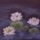 Kep_009_1__lotuszok_1521997_6264_t