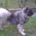 No_comment-001_1521192_1220_t