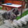 No_comment-003_1521190_6966_t