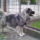 No_comment-004_1521189_5487_t