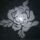 Rozsa-001_1521355_5992_t