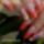 Szeptember_1_1522002_4641_t
