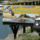 Sok_fele_sportot_lehet_kiprobalni_1523873_6560_t