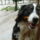 Dscn3225_1525585_8153_t