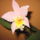 Szeptember_6_060_1525135_1915_t