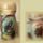 Decoupage__vintage_tarolo_uveg_1520078_1794_t