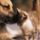 Ne_vadold_a_vilagot_keress_megoldast_1502686_1953_t