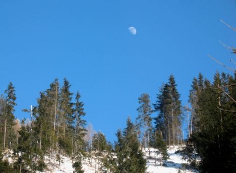 Vasárnapi túra a Csiszér tetőn - A felkelő hold