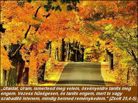 Áldott,szép napot!