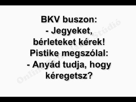 viewer.  Bemutató 96