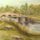 Magyar_taj_1533172_7481_t