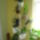 Teli_lakhely_1533324_4314_t