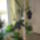 Teli_lakhely_2_1533326_1842_t