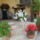 Viragok_015-001_1533705_3189_t