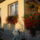 Viragok_024_1533713_3992_t