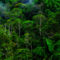 Amazónia 4