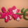 Virag_orhidea_1534534_6106_t