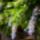 Dravapart_es_barcs_13_1535441_8356_t