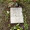 Máté Péter sirja Budapesten a Farkasréti temetőben