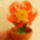 Quilling_virag_cserepben-002_1535646_7138_t