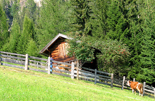Alpbach - Ausztria