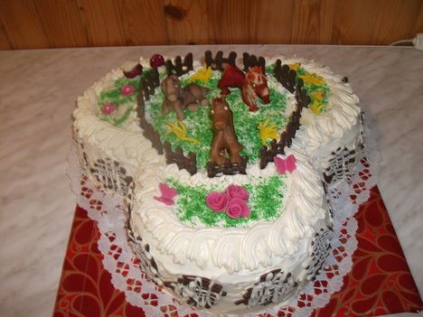 tortaim 3