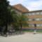 A Természettudományi Kar - pálmafa és biciklik az egyetem előtt