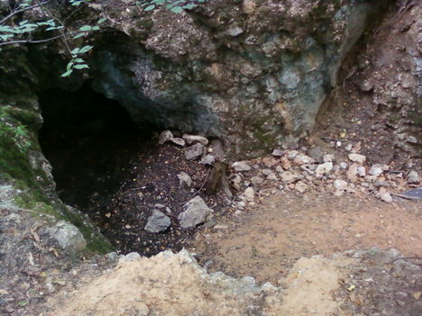 Pálosok és a Hárshegyi Bátori-barlang 1