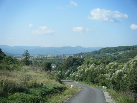 DSCF4156