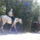 Dscf4226_1541721_4349_t