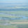 Dscf4286_1541742_9870_t