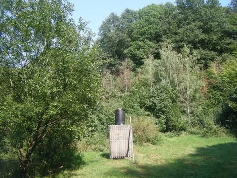 DSCF4332