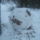 Kep_009_1541886_2182_t