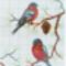madárkák minta 3