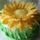 Napraforgo_torta_13_1543597_2846_t
