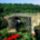 The_iron_bridge_1544516_7438_t