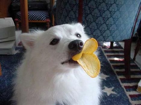 909