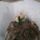 Madarak_2-001_1551206_7561_t